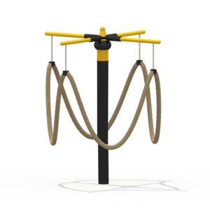 Carousel Swing