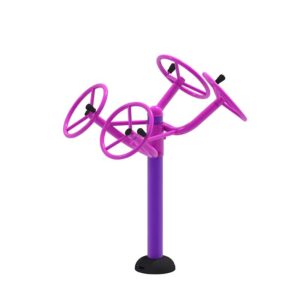 tai chi wheel