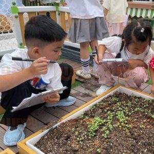 Children's Garden Planter